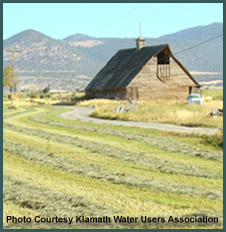 Klamath Basin Dam